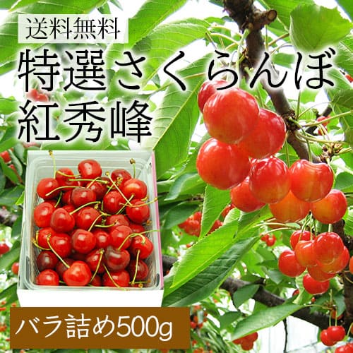 特選さくらんぼ紅秀峰