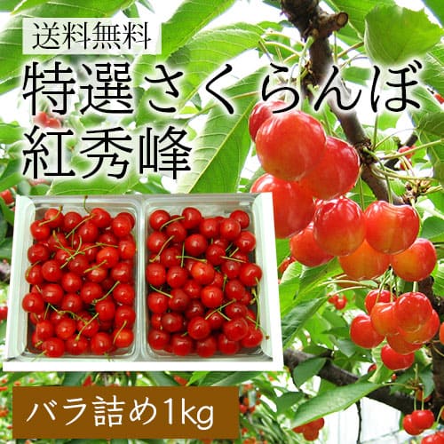 特選さくらんぼ紅秀峰