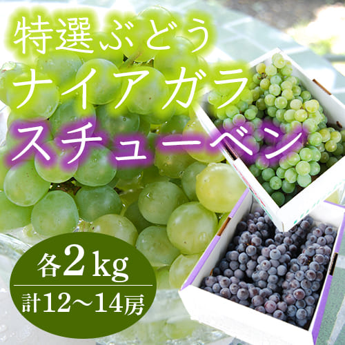 ナイアガラスチューベン