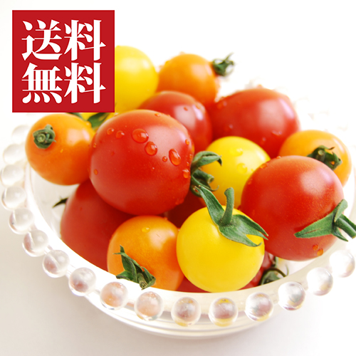 岩月ファームの美味しいトマト