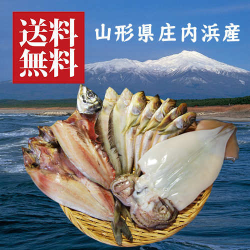 庄内浜の干物５種