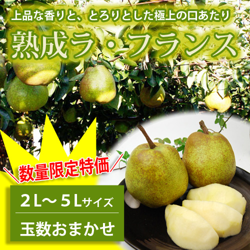 熟成ラフランス
