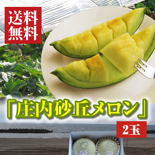 庄内砂丘メロン
