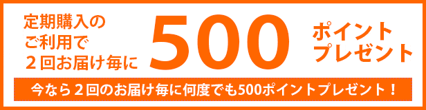 500ポイントプレゼント
