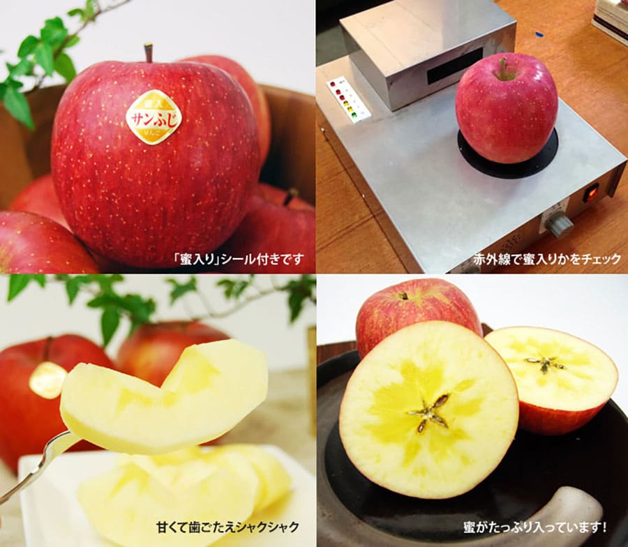《旬果》プレミアム洋梨ラフランスと蜜入りふじりんご