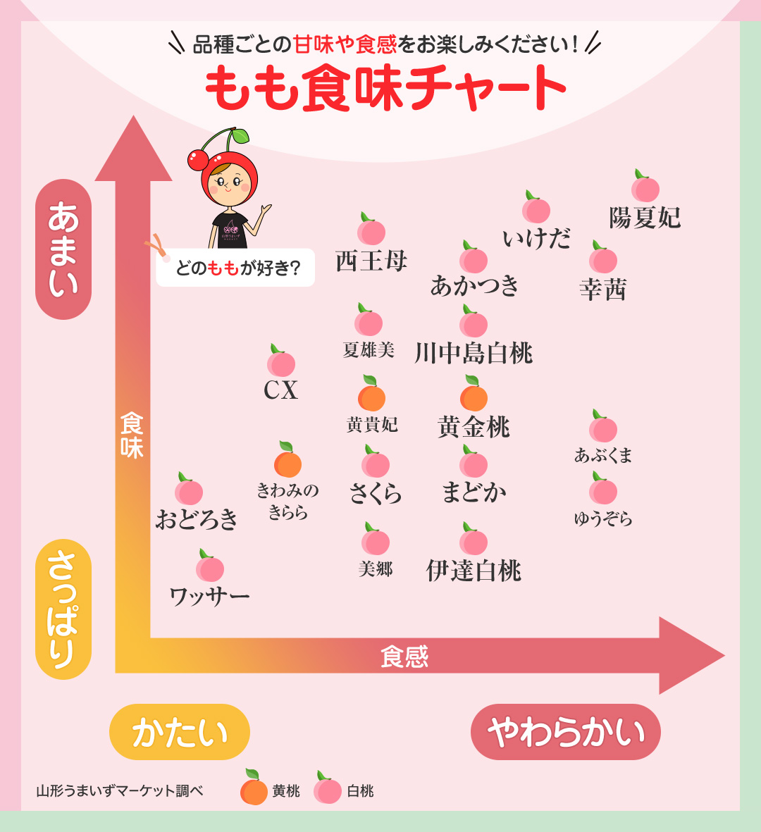 桃の品種チャート｜食感・味わい・選び方を徹底比較！  さくらんぼや山形の旬の果物・野菜・特産品の通販【公式】山形うまいずマーケット┃お取り寄せ・ギフト・贈答品・お中元・お歳暮に