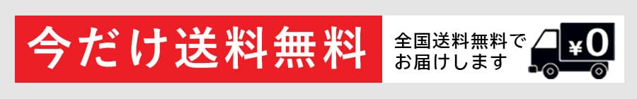今だけ送料無料