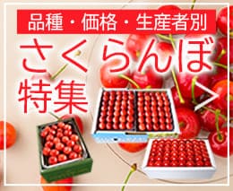さくらんぼ全商品ラインナップ