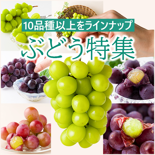 ぶどう特集