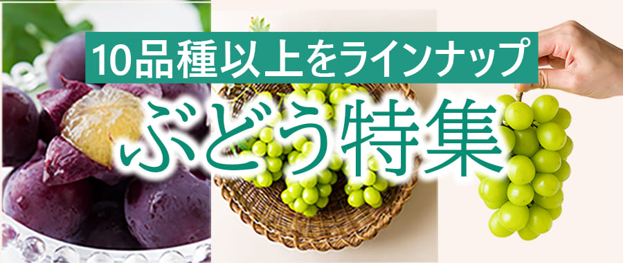 ぶどう特集