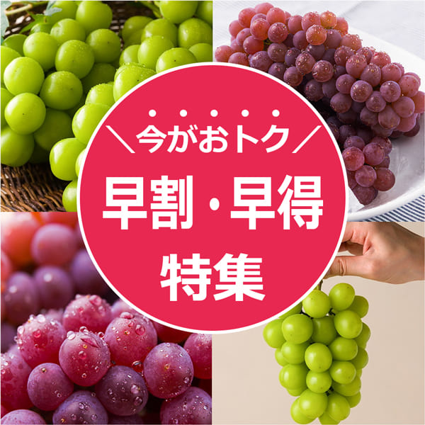 早割・早得特集