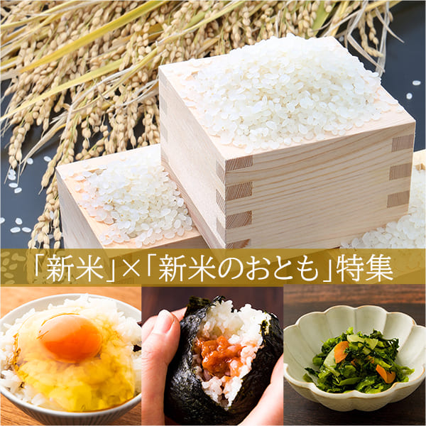 新米と新米のおとも特集