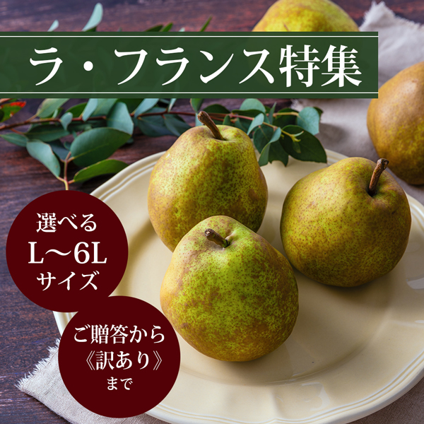 ラフランス特集