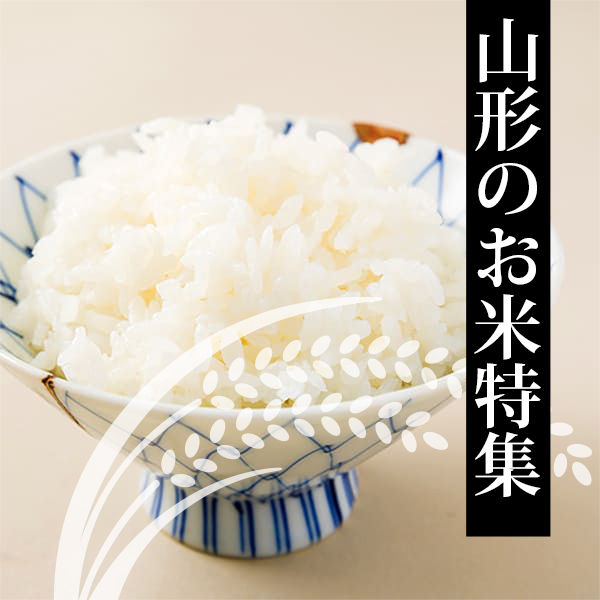 お米特集