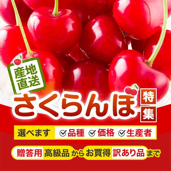 さくらんぼ特集
