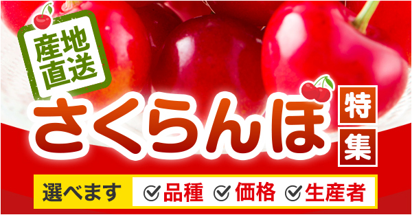さくらんぼ特集