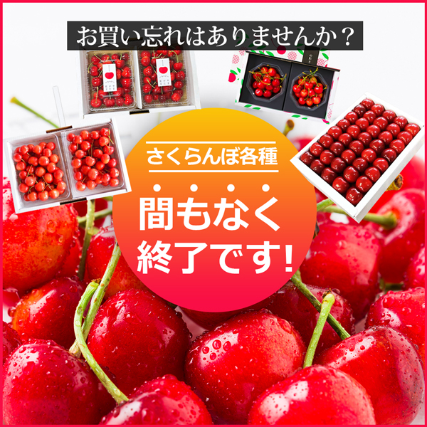 さくらんぼ特集