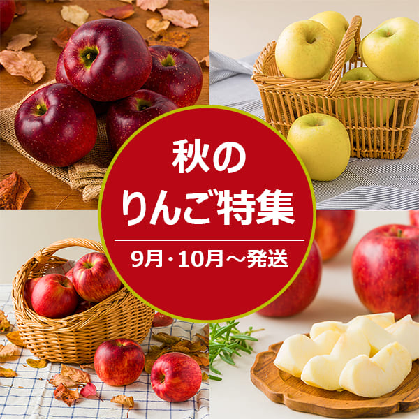 秋のりんご特集