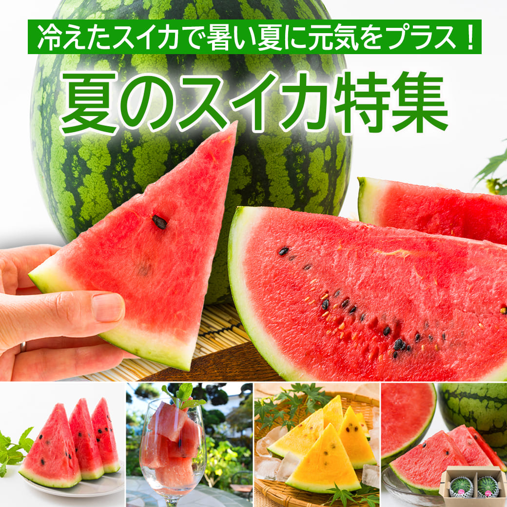 スイカ特集