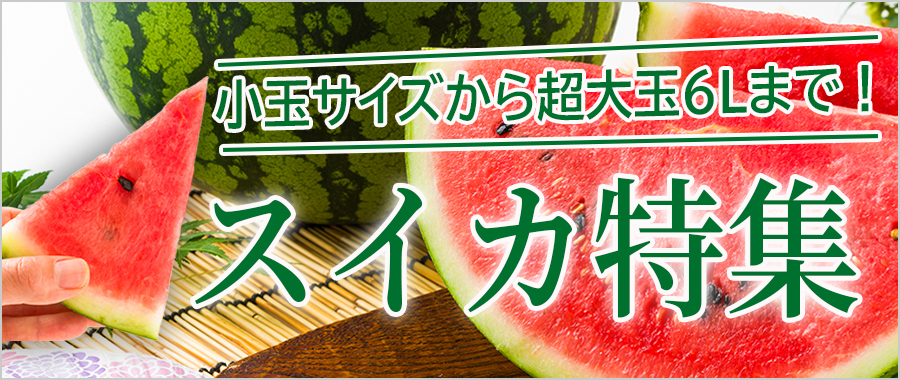 すいか特集