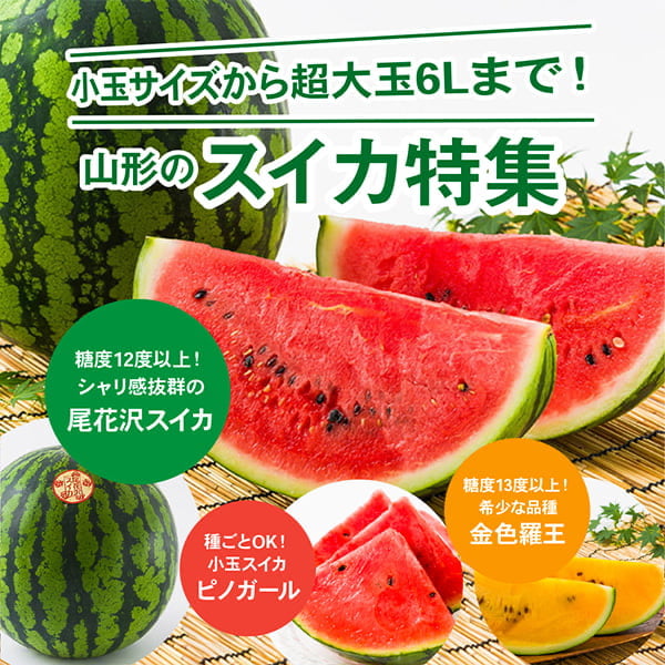 すいか特集