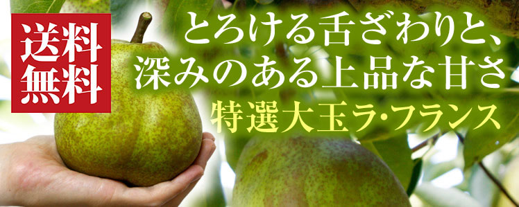 高橋フルーツランドラフランスバナー